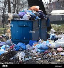 Best Hoarding Cleanup  in Bottineau, ND